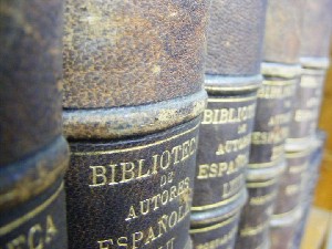 biblioteca 017 copy.jpg